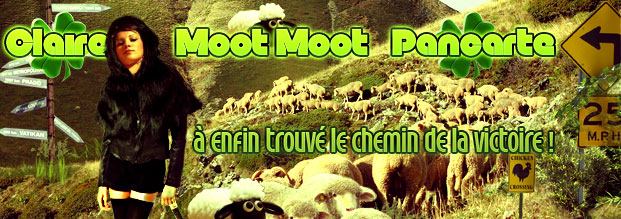 Gagnant du Tripot